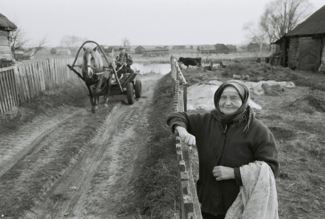 vjeljamichy-2009