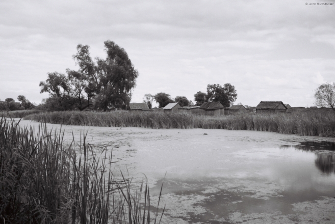 vjeljamichy-20106