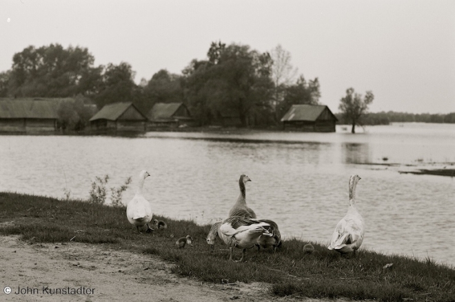 vjerasnitsa-2008