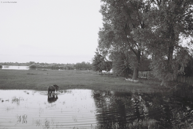 vjerasnitsa-2010_7