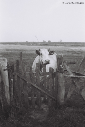 waiting-at-the-gate-tsjerablichy-2012-2012203-f1100026