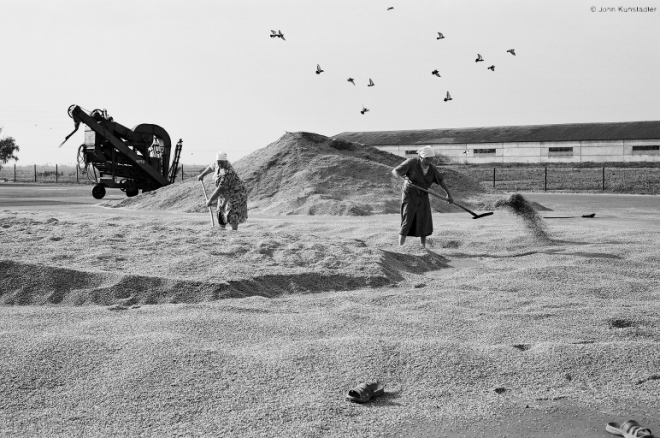 winnowing-vjeljamichy-2008