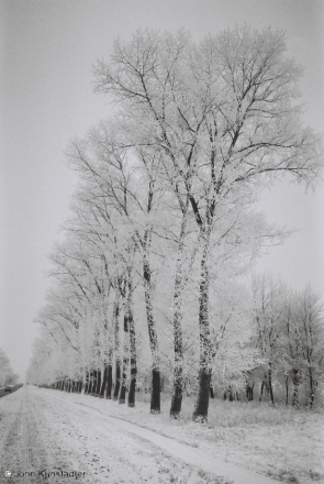 winter-landscapes-of-belarus-slutsk-staryja-darohy-road-2012-2012010b-27