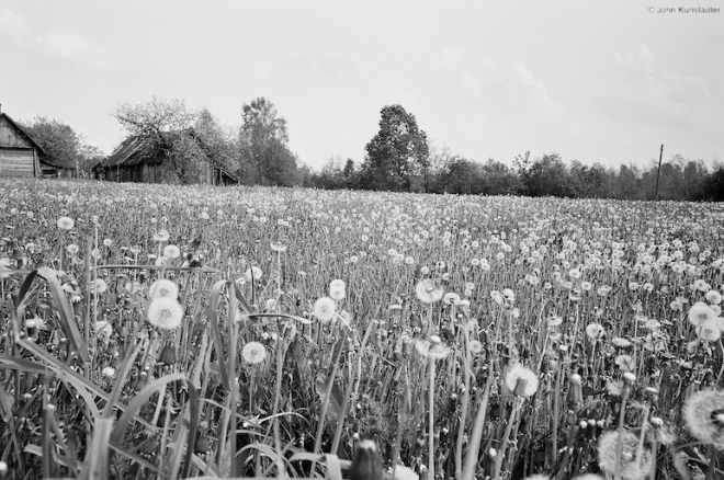 zjabki-2007
